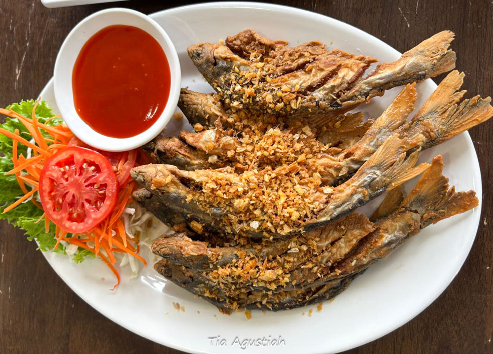 MENAPAKI JEJAK RAKSASA DI NAKHON PHANOM THAILAND