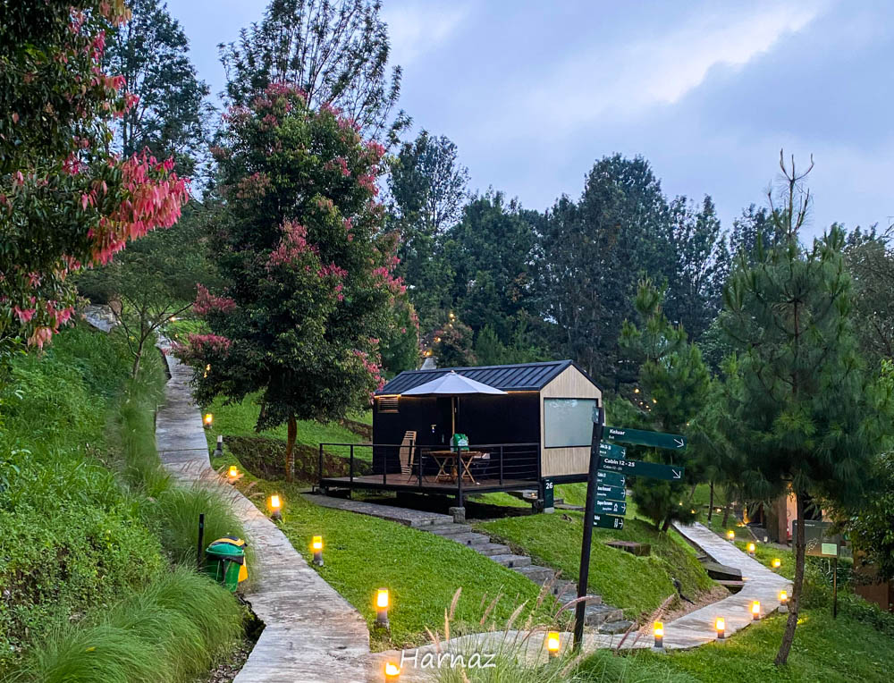 BOBOCABIN, KESERUAN BELANTARA DENGAN KENYAMANAN KOTA!